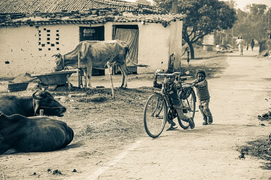 village life and city life paragraph