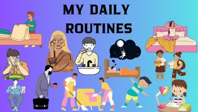 my daily routine paragraph