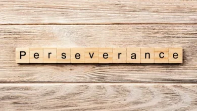 perseverance is the key to success story