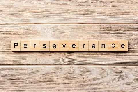 perseverance is the key to success story